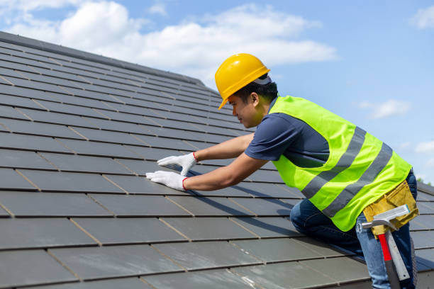 Best Roof Gutter Cleaning  in Red Lick, TX