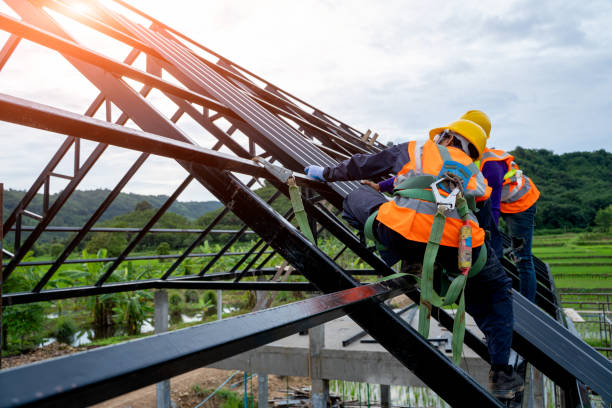 Best Roof Maintenance Services  in Red Lick, TX