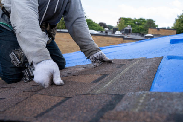 Professional Roofing Contractor in Red Lick, TX